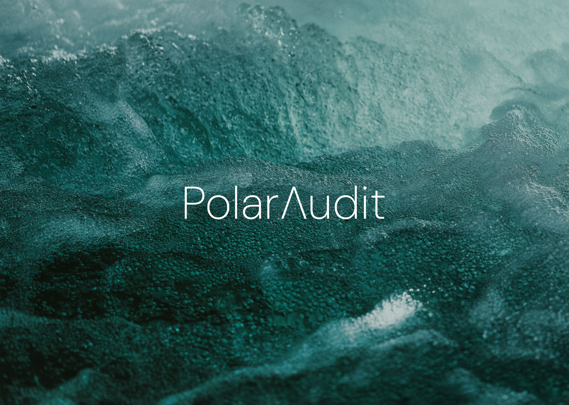 Polar Audit